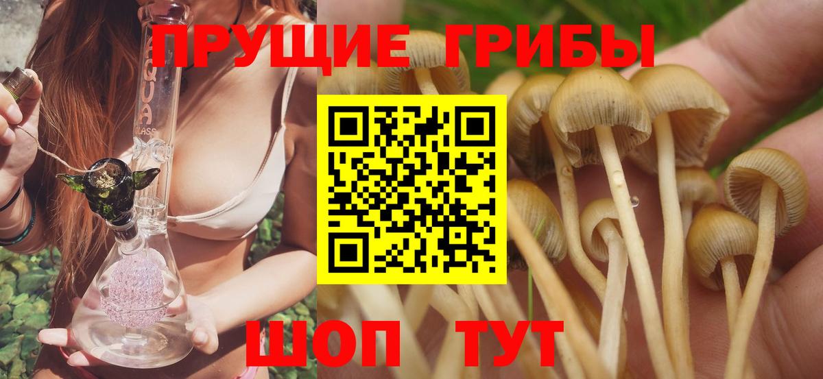 Гулькевичи  Галлюциногенные грибы MAGIC MUSHROOMS  Вход с VPN  купить   Псилоцибиновые грибы MAGIC MUSHROOMS 